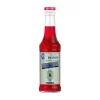 Bitter Apéritif - Monin Sirup Kleinflasche (0,25l)
