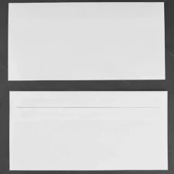 Briefumschläge DIN lang, 110x220mm, selbstklebend - weiß (1000 Stk.)