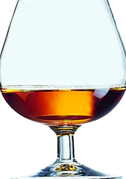 Cognacschwenker Degustation, Arcoroc - 250ml