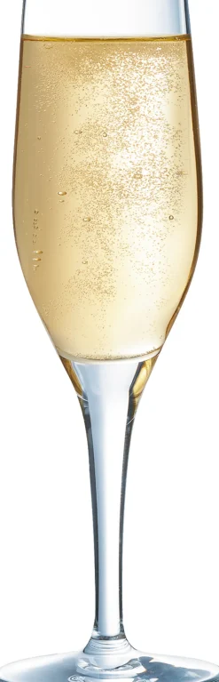 Sektglas Sensation Exalt, C&S - 190ml