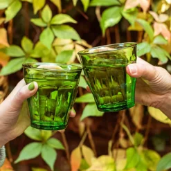 Tumbler Picardie Grün, Duralex - 250ml