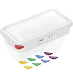 Vorratsbehälter GN 1/3 Set mit Deckel, PP - 2,5l / H 6,5cm (1 Stk.)